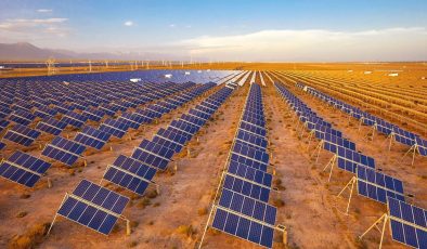 Güneşimiz gümrüğe takılmasın