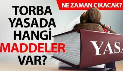 TORBA YASA 2024 NE ZAMAN ÇIKACAK? Vergi affı, kademeli emeklilik, taşerona kadro ve 3600 ek gösterge beklentisi..