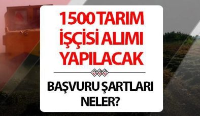 Tarım ve Orman Bakanlığı işçi alımı kura sonuçları ne zaman açıklanacak? | İŞKUR 1.500 tarım işçisi alımı başvuru şartları neler? İşte işçi alımı kura çekim tarihi!