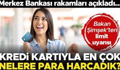 Son dakika… Bakan Şimşek’ten limit uyarısı… Merkez Bankası kritik verileri açıkladı! İşte kredi kartıyla en çok harcama yapılan sektörler