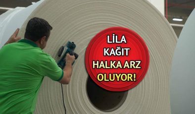 Lila Kağıt halka arz ne zaman, kaç lot verir? Lila Kağıt halka arz katılım endeksine uygun mu, hangi bankalarda var, sahibi kim, ne iş yapar?