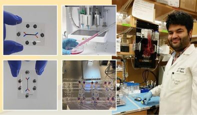 Organları taklit eden ‘çip’ geliştiriliyor