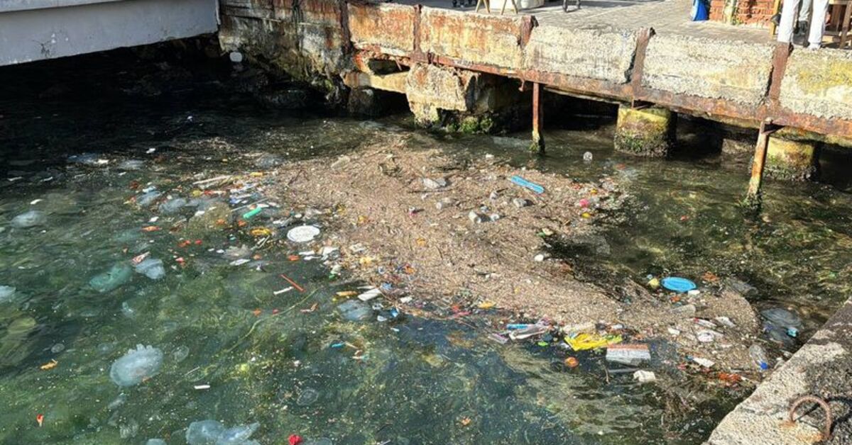 Beykoz’da denize atılan çöpler kıyaya vurdu