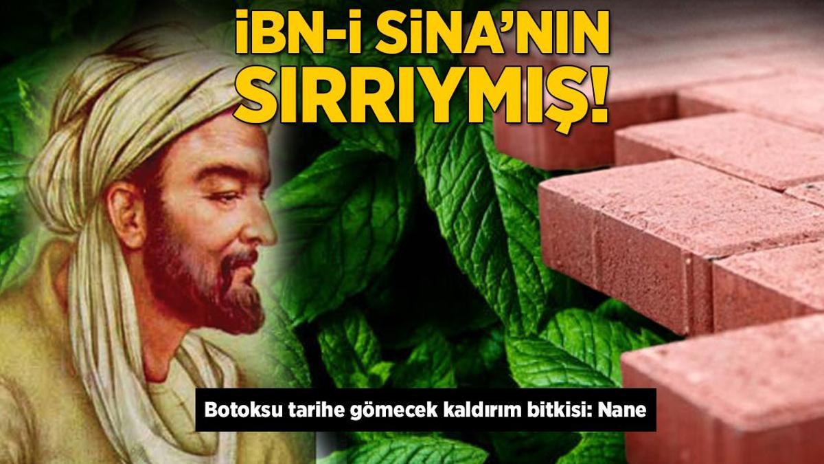 İbn-i Sina kitabında yazdı! Botoksu tarihe gömecek, kaldırımda yetişiyormuş